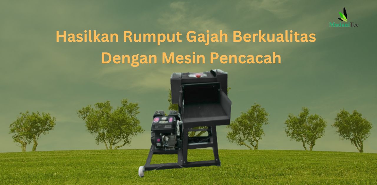 Pentingnya Merajang Rumput Gajah Dengan Pencacah Serbaguna Untuk Hasil Terbaik